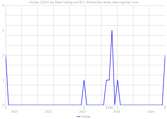 Visitas 2024 de Dam Vastgoed B.V. (Holanda) 