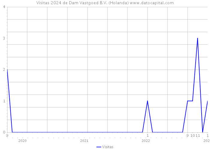 Visitas 2024 de Dam Vastgoed B.V. (Holanda) 
