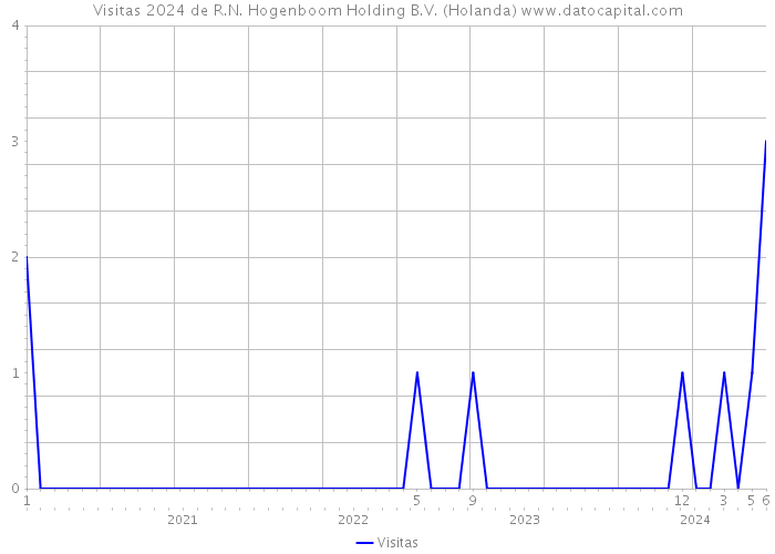 Visitas 2024 de R.N. Hogenboom Holding B.V. (Holanda) 