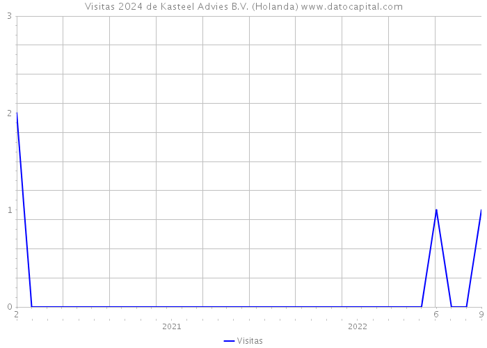 Visitas 2024 de Kasteel Advies B.V. (Holanda) 