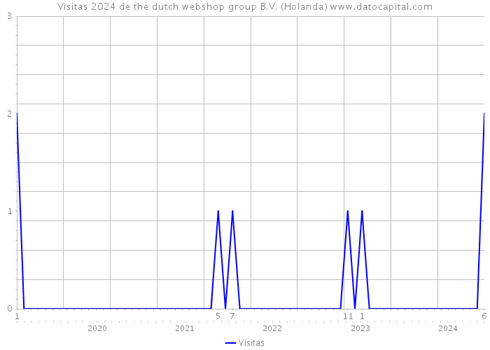 Visitas 2024 de the dutch webshop group B.V. (Holanda) 