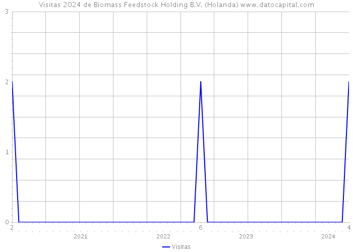 Visitas 2024 de Biomass Feedstock Holding B.V. (Holanda) 