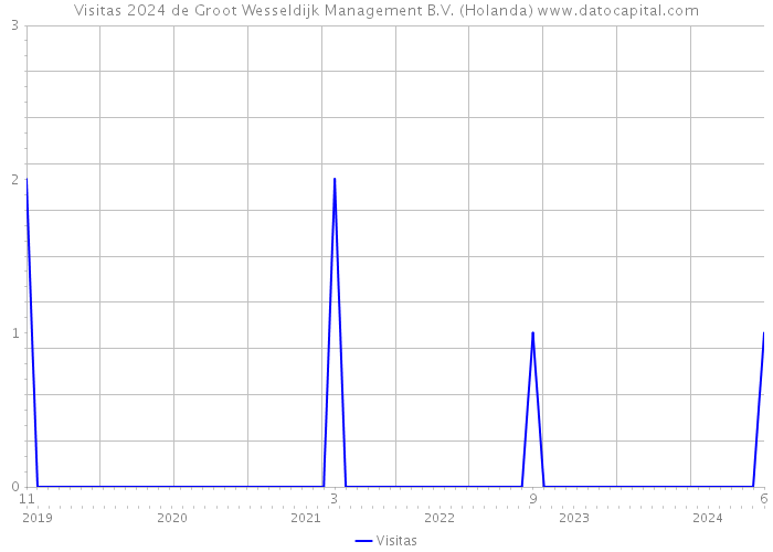 Visitas 2024 de Groot Wesseldijk Management B.V. (Holanda) 