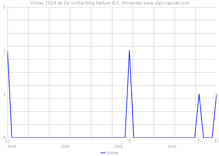Visitas 2024 de De Volharding Hallum B.V. (Holanda) 