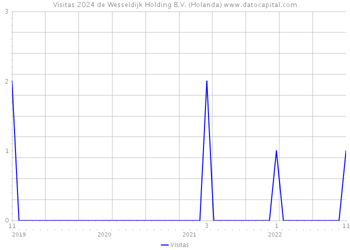 Visitas 2024 de Wesseldijk Holding B.V. (Holanda) 