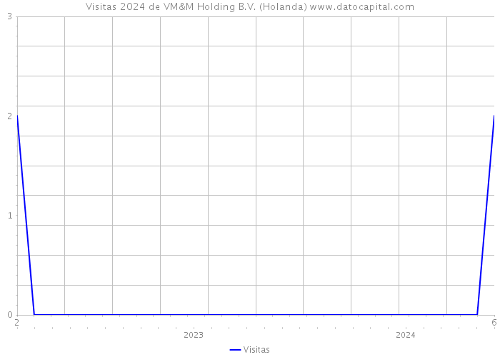 Visitas 2024 de VM&M Holding B.V. (Holanda) 