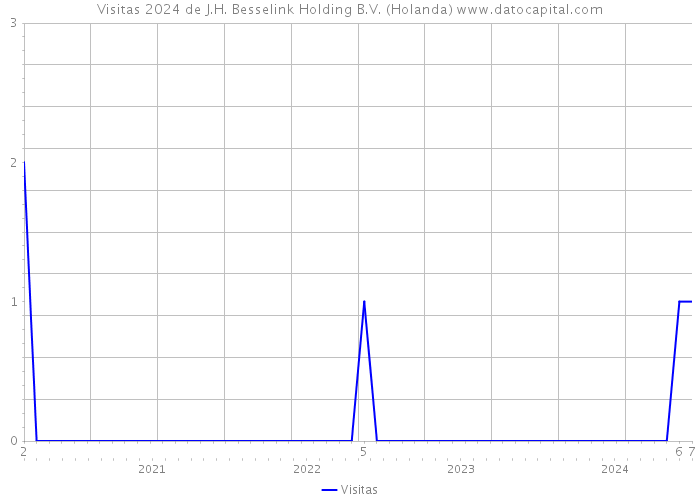 Visitas 2024 de J.H. Besselink Holding B.V. (Holanda) 