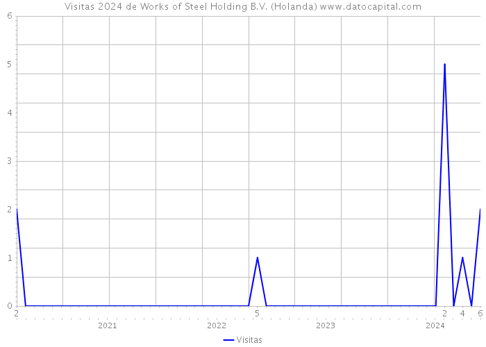 Visitas 2024 de Works of Steel Holding B.V. (Holanda) 