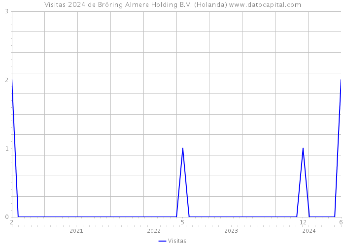 Visitas 2024 de Bröring Almere Holding B.V. (Holanda) 