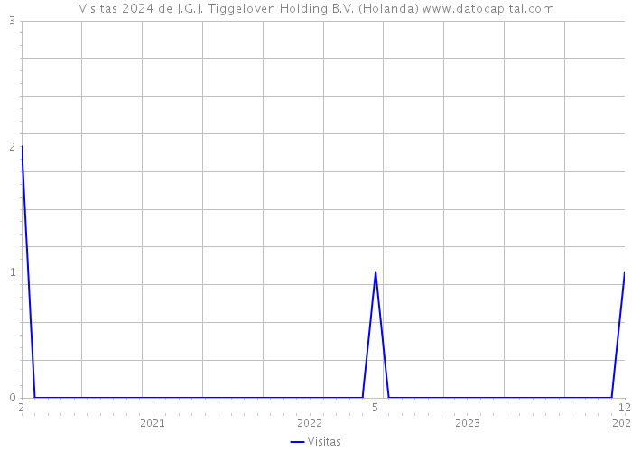 Visitas 2024 de J.G.J. Tiggeloven Holding B.V. (Holanda) 