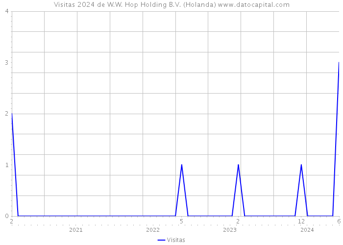 Visitas 2024 de W.W. Hop Holding B.V. (Holanda) 