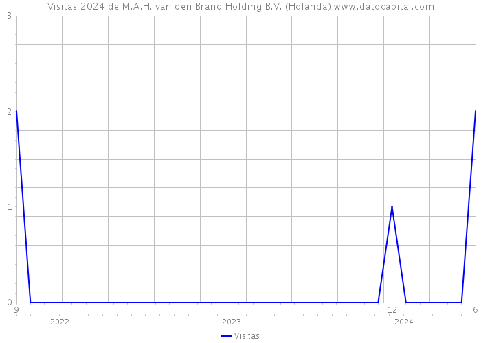 Visitas 2024 de M.A.H. van den Brand Holding B.V. (Holanda) 