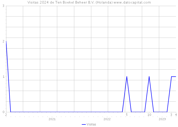 Visitas 2024 de Ten Boekel Beheer B.V. (Holanda) 