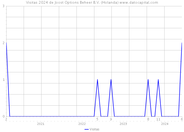 Visitas 2024 de Joost Options Beheer B.V. (Holanda) 