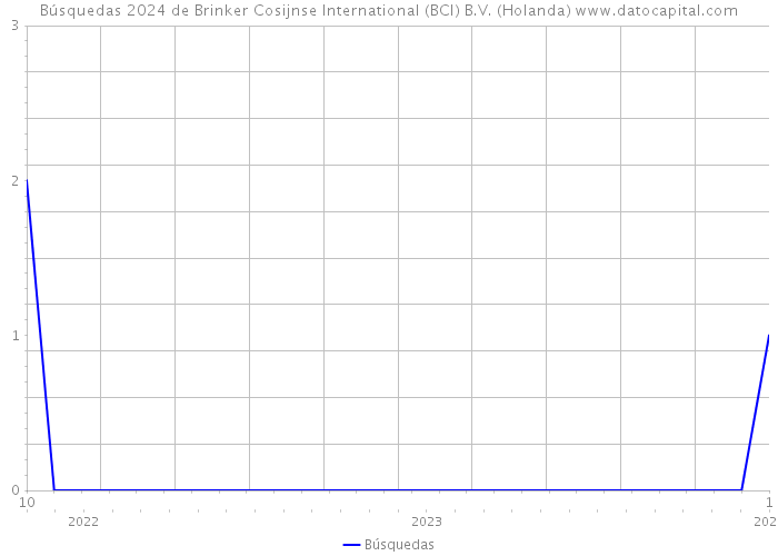 Búsquedas 2024 de Brinker Cosijnse International (BCI) B.V. (Holanda) 