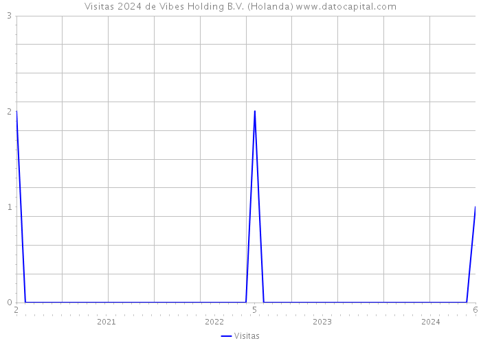 Visitas 2024 de Vibes Holding B.V. (Holanda) 