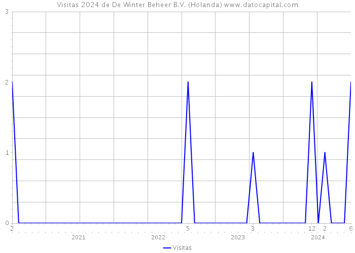 Visitas 2024 de De Winter Beheer B.V. (Holanda) 