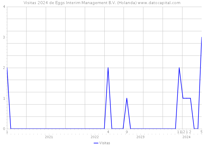 Visitas 2024 de Eggs Interim Management B.V. (Holanda) 