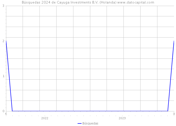 Búsquedas 2024 de Cayuga Investments B.V. (Holanda) 