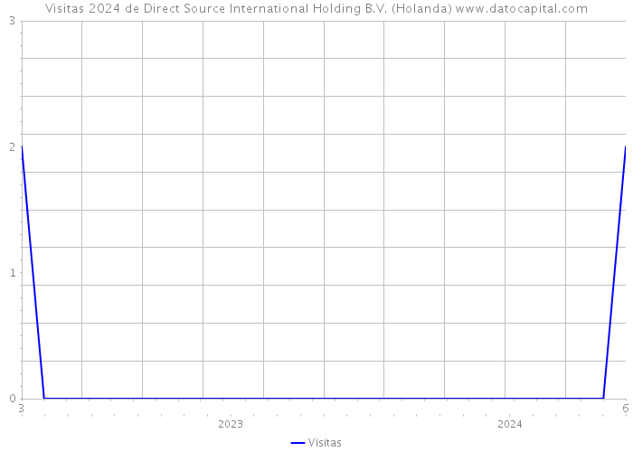 Visitas 2024 de Direct Source International Holding B.V. (Holanda) 