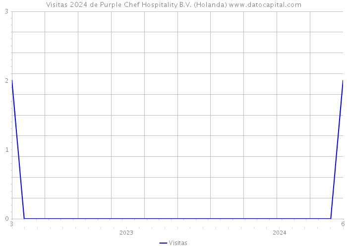 Visitas 2024 de Purple Chef Hospitality B.V. (Holanda) 
