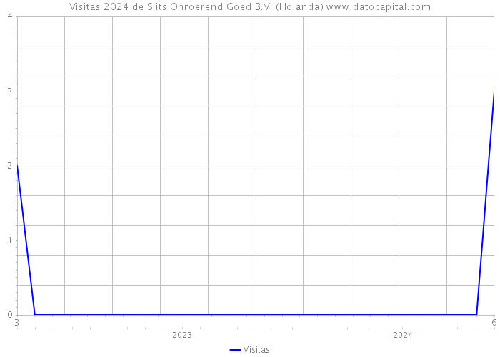 Visitas 2024 de Slits Onroerend Goed B.V. (Holanda) 