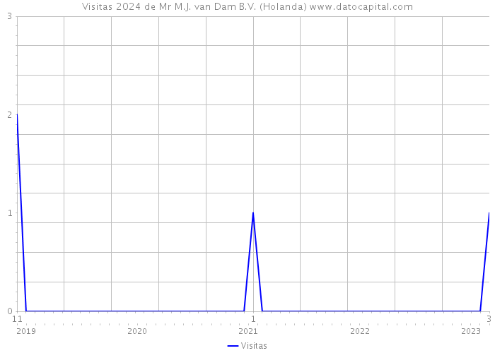 Visitas 2024 de Mr M.J. van Dam B.V. (Holanda) 