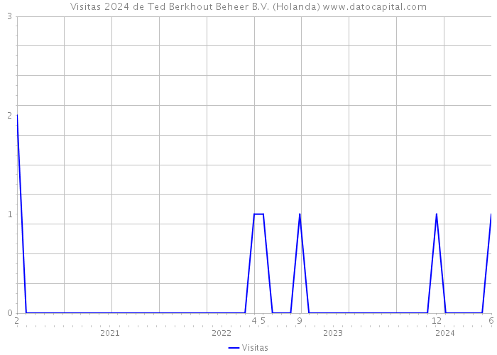 Visitas 2024 de Ted Berkhout Beheer B.V. (Holanda) 