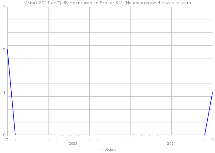 Visitas 2024 de Tjally Agenturen en Beheer B.V. (Holanda) 