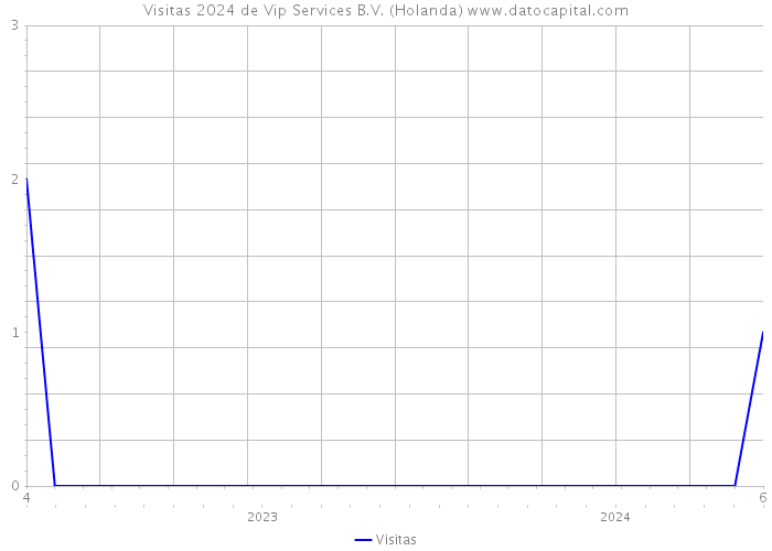 Visitas 2024 de Vip Services B.V. (Holanda) 