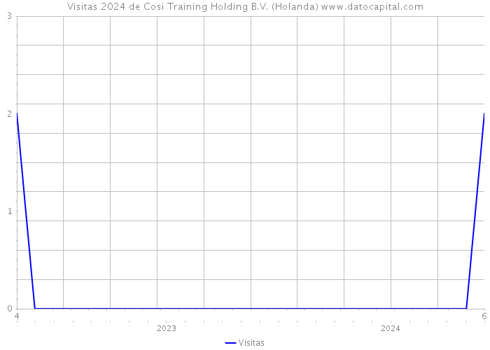 Visitas 2024 de Cosi Training Holding B.V. (Holanda) 