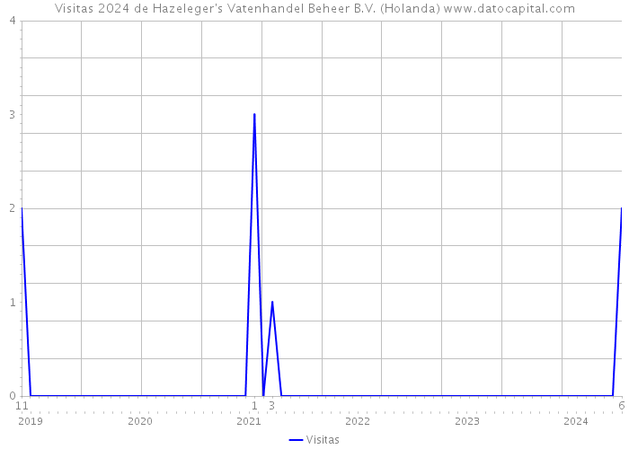 Visitas 2024 de Hazeleger's Vatenhandel Beheer B.V. (Holanda) 
