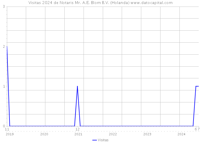 Visitas 2024 de Notaris Mr. A.E. Blom B.V. (Holanda) 