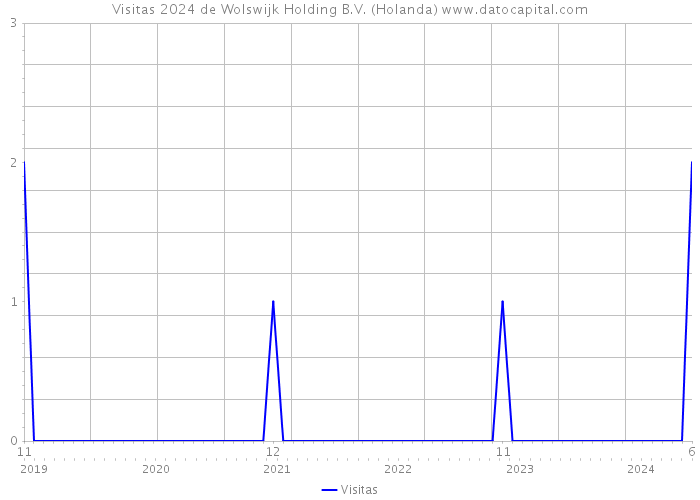 Visitas 2024 de Wolswijk Holding B.V. (Holanda) 