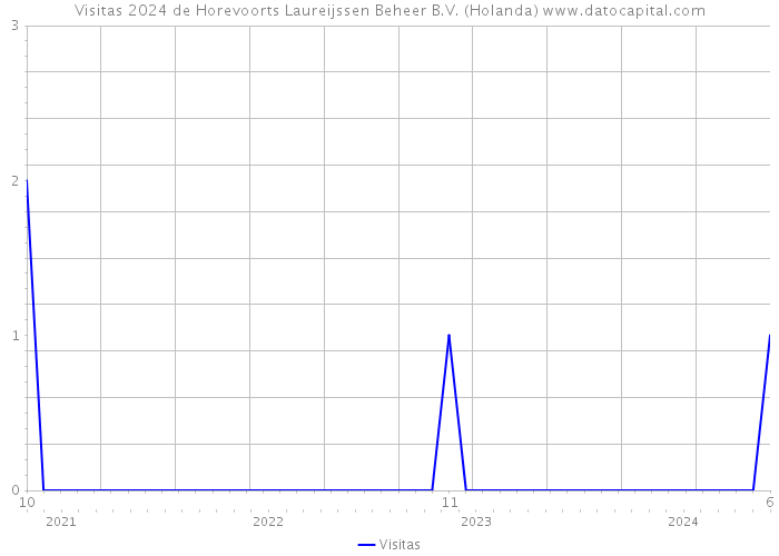 Visitas 2024 de Horevoorts Laureijssen Beheer B.V. (Holanda) 