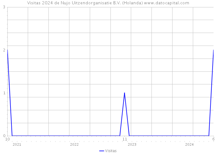 Visitas 2024 de Nujo Uitzendorganisatie B.V. (Holanda) 