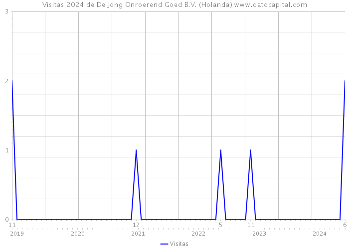 Visitas 2024 de De Jong Onroerend Goed B.V. (Holanda) 