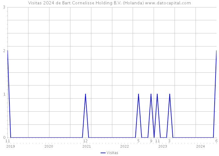 Visitas 2024 de Bart Cornelisse Holding B.V. (Holanda) 