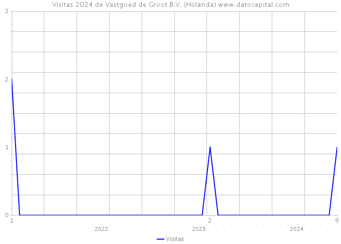 Visitas 2024 de Vastgoed de Groot B.V. (Holanda) 