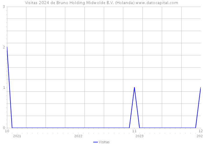 Visitas 2024 de Bruno Holding Midwolde B.V. (Holanda) 