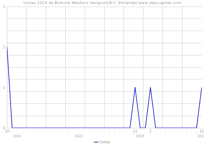 Visitas 2024 de Bolwerk Weekers Vastgoed B.V. (Holanda) 