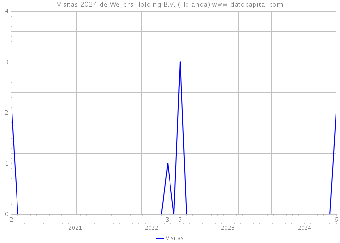 Visitas 2024 de Weijers Holding B.V. (Holanda) 