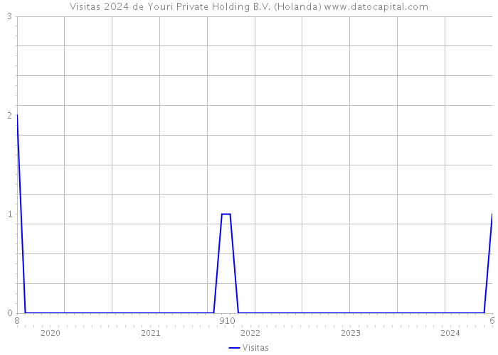 Visitas 2024 de Youri Private Holding B.V. (Holanda) 