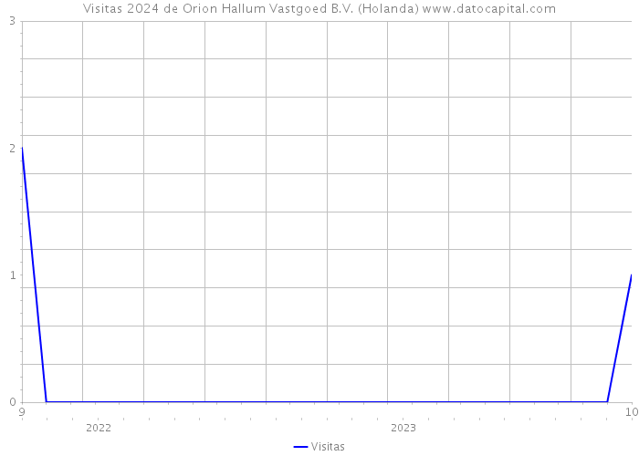 Visitas 2024 de Orion Hallum Vastgoed B.V. (Holanda) 