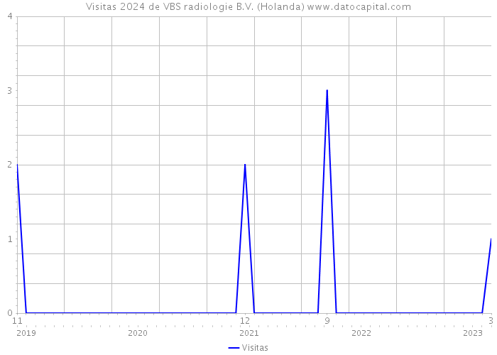 Visitas 2024 de VBS radiologie B.V. (Holanda) 