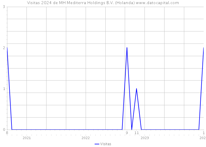 Visitas 2024 de MH Mediterra Holdings B.V. (Holanda) 