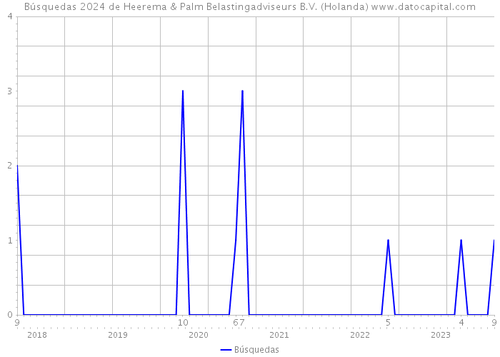 Búsquedas 2024 de Heerema & Palm Belastingadviseurs B.V. (Holanda) 