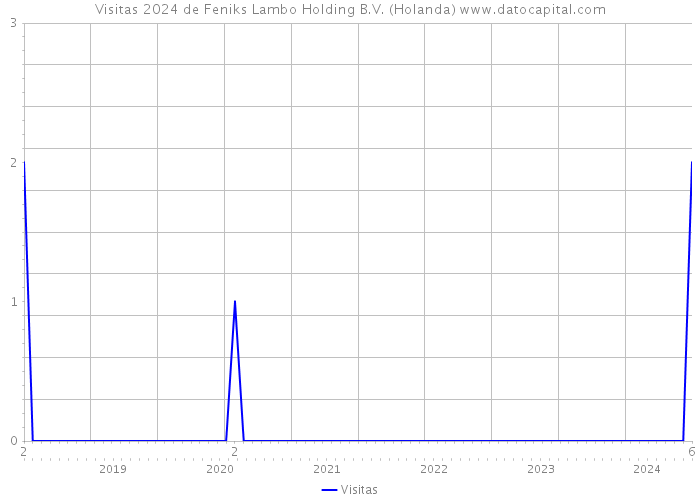 Visitas 2024 de Feniks Lambo Holding B.V. (Holanda) 