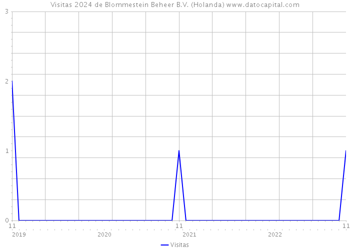 Visitas 2024 de Blommestein Beheer B.V. (Holanda) 