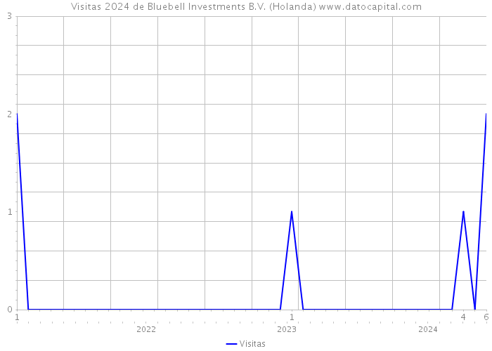 Visitas 2024 de Bluebell Investments B.V. (Holanda) 